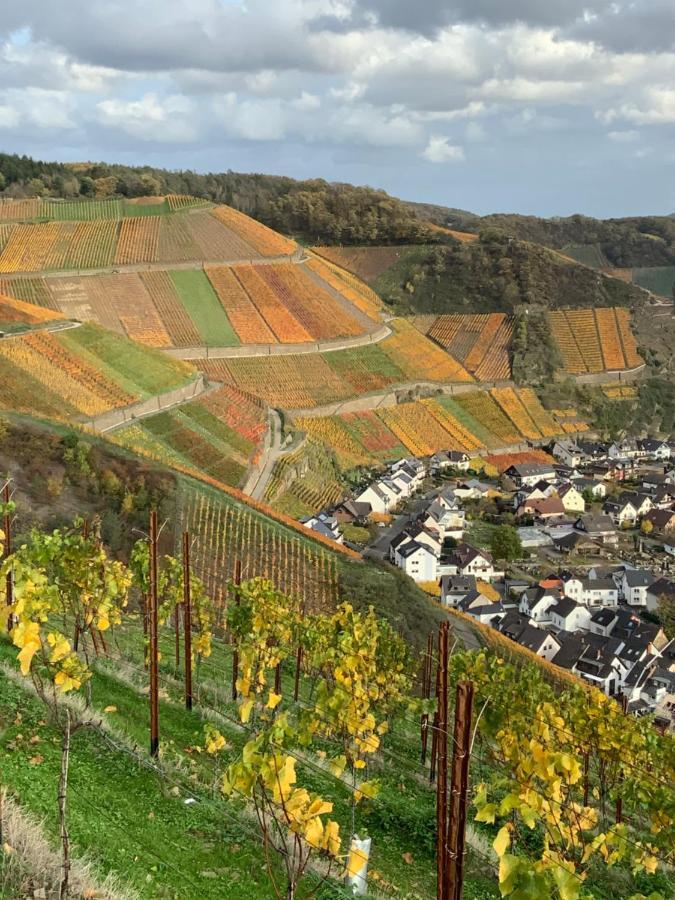 Rheinvilla Arte Remagen Extérieur photo